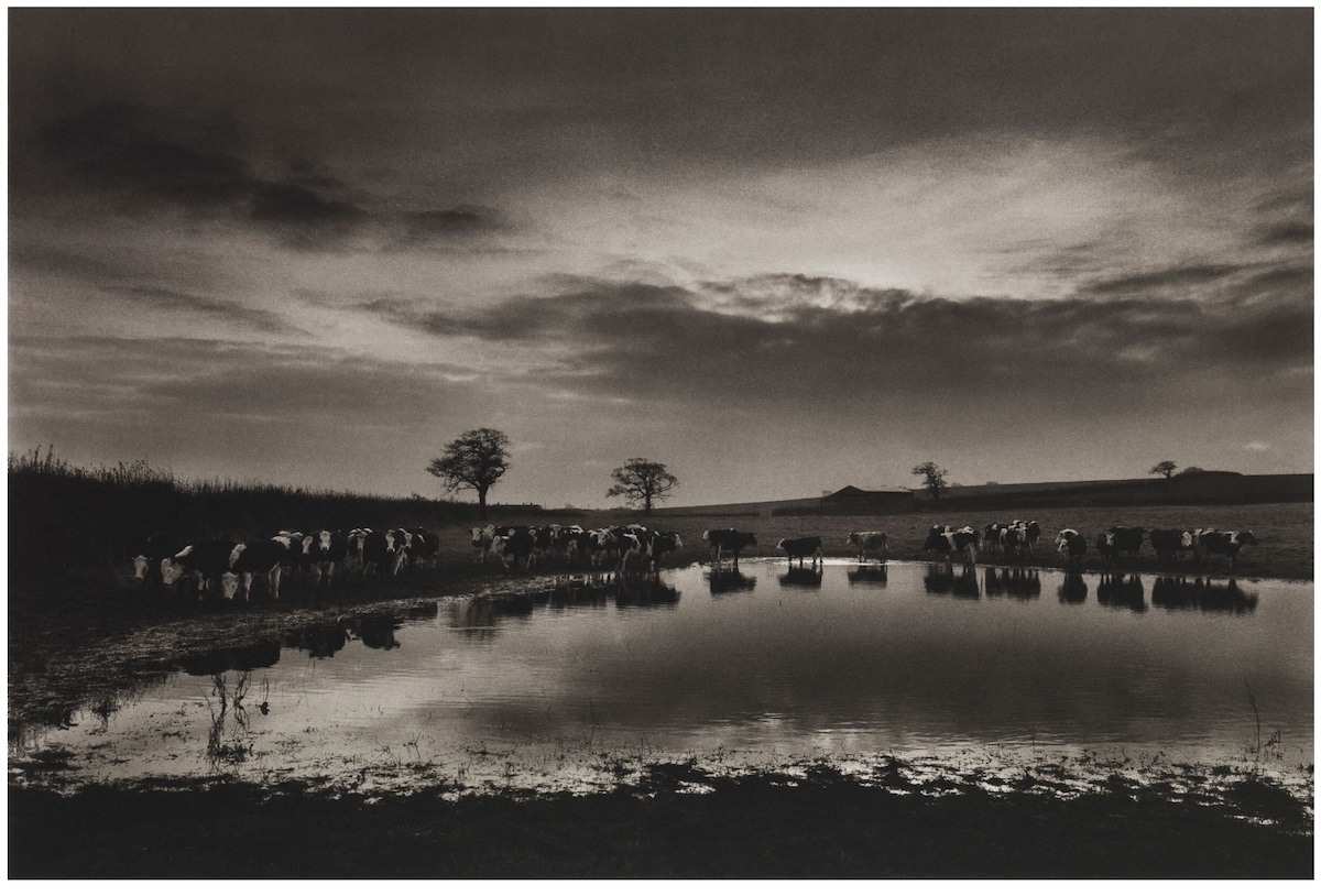 Sir Don McCullin artsxhibit.com 2