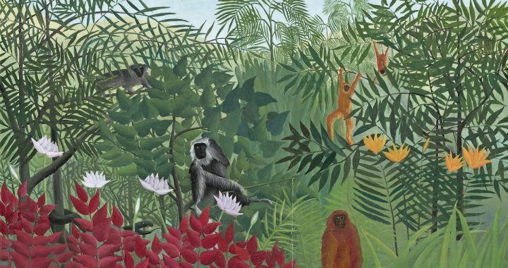 Henri Rousseau: A Painter’s Secrets Revealed at the Barnes