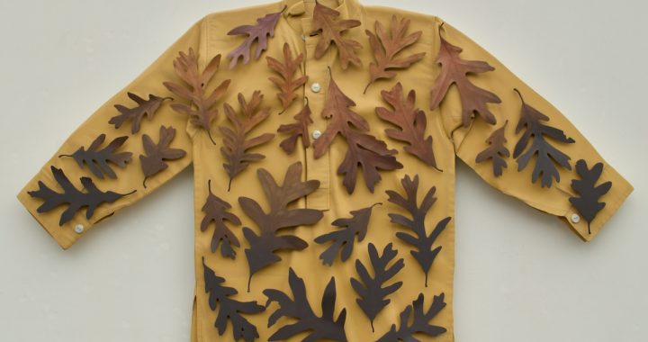 Ron Isaacs “Human / Nature” at Gravers Lane Gallery