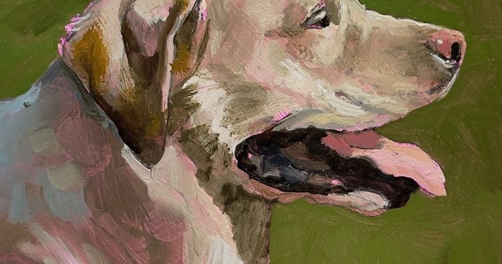 Nancy Bea Miller’s New Paintings Span Still Life, Animals, and Portraiture at Philadelphia’s F.A.N. Gallery
