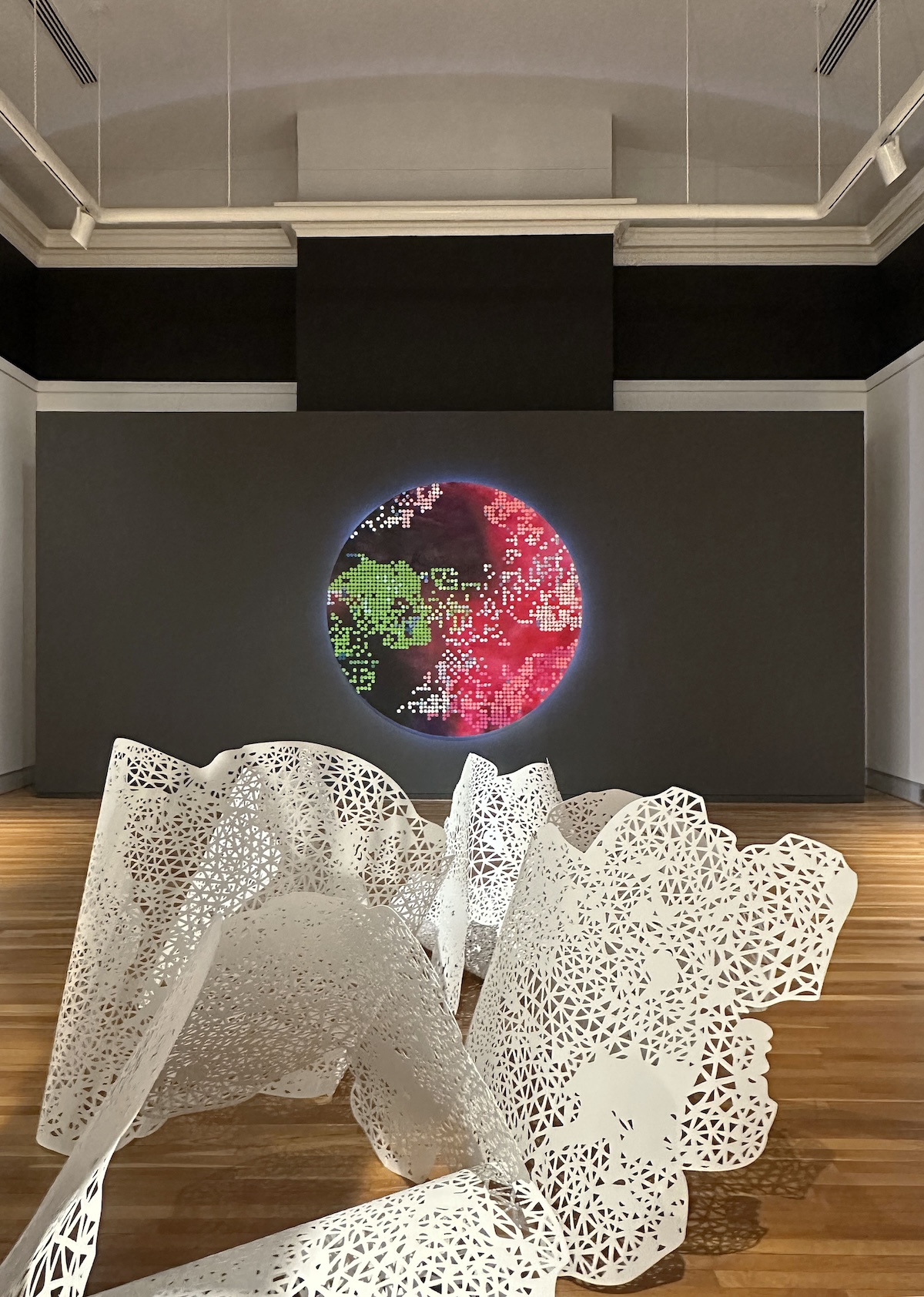 Universal Nature—Rebecca Rutstein at the Berman Museum