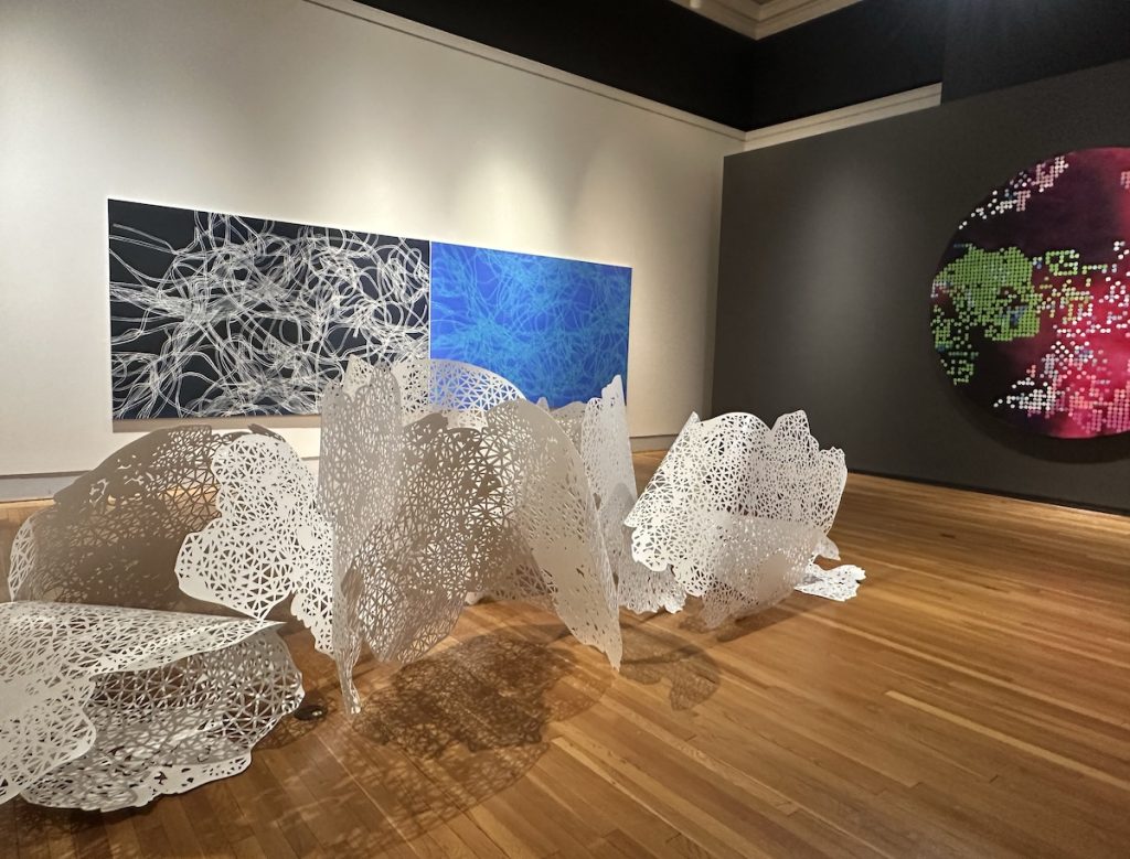 Universal Nature—Rebecca Rutstein at the Berman Museum