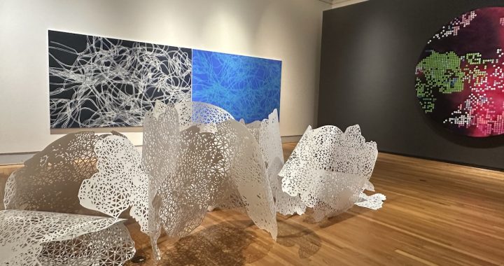 Universal Nature—Rebecca Rutstein at the Berman Museum