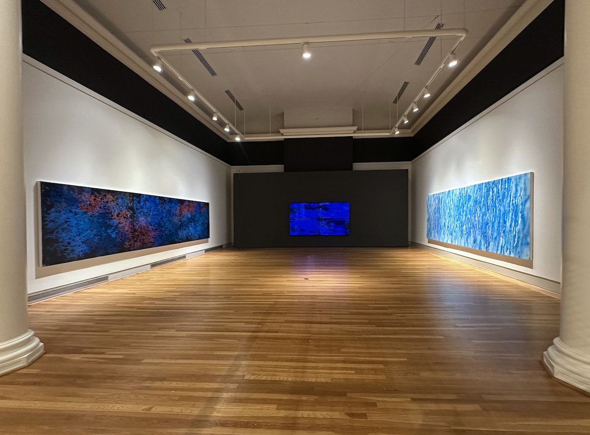 Universal Nature—Rebecca Rutstein at the Berman Museum