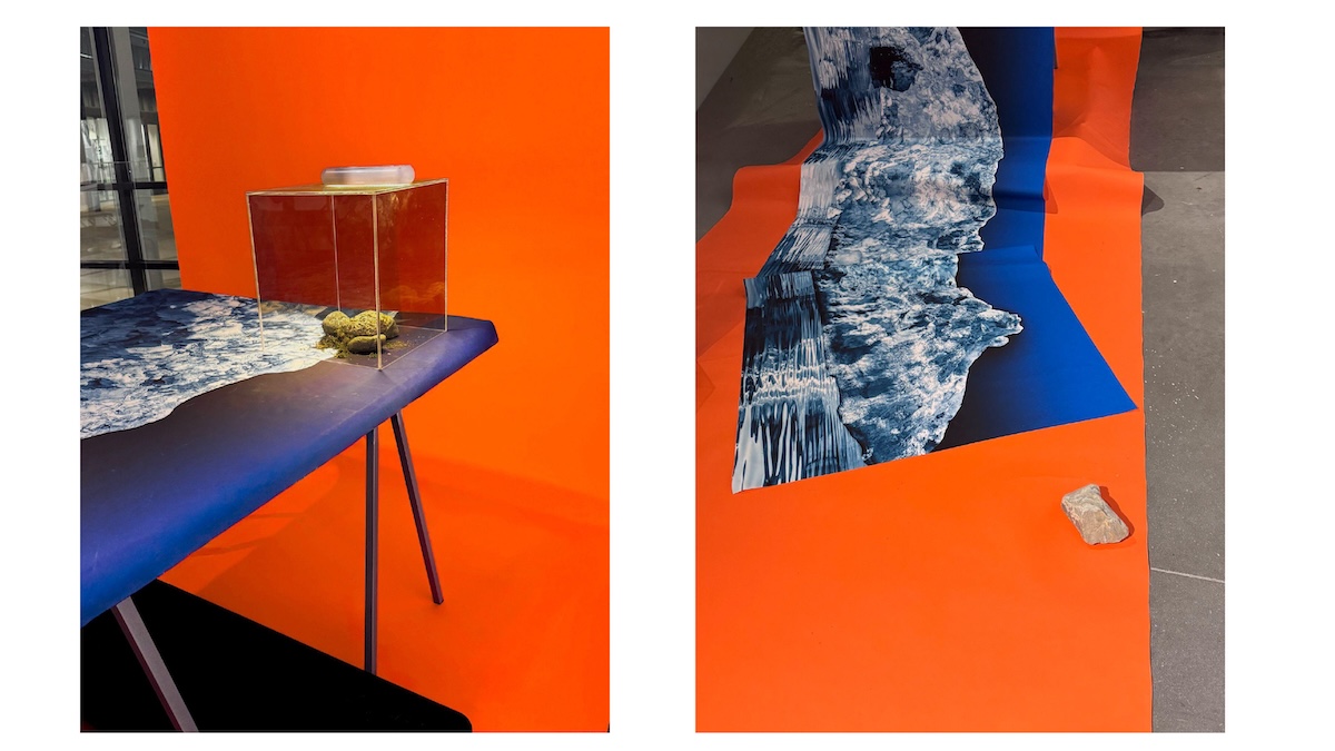 Anita Allyn - _Thin Ice_No Other Place to Go artsxhibit.com