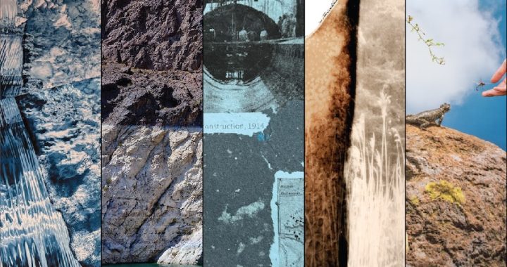“No Other Place to Go”—5 Artists Turn Climate Data Into Human Experience at InLiquid Gallery